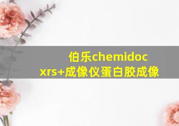 伯乐chemidoc xrs+成像仪蛋白胶成像